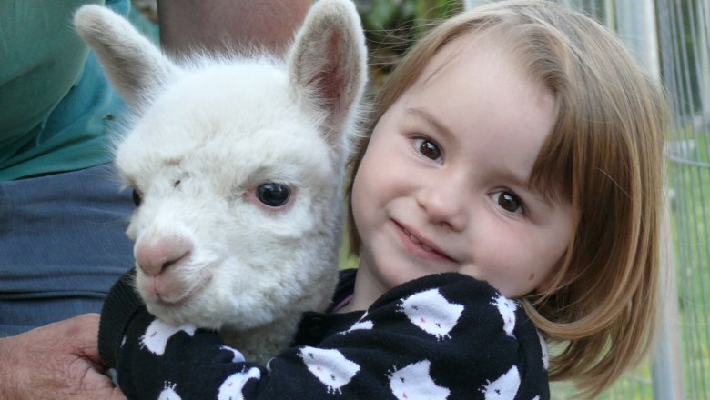 Alpacas on the Wachabauer farm, © Wachabauer A little girl hugs a white alpaca.