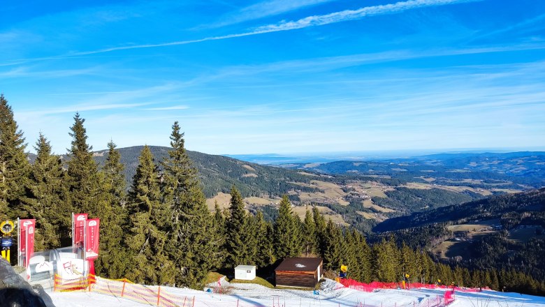 Blick auf die Piste, © 2021 Maxsam GmbH Blick auf eine Skipiste mit Wald und Bergen im Hintergrund unter blauem Himmel.
