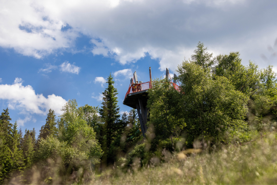 Die Aussicht am Schaukelweg genießen, © Stefan Wallner Die Aussicht am Schaukelweg genießen, © Stefan Wallner