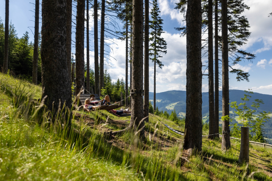 Papa mit Tochter auf der Relaxliege am Schaukelweg in Mönichkirchen, © Stefan Wallner Relaxliegen am Schaukelweg