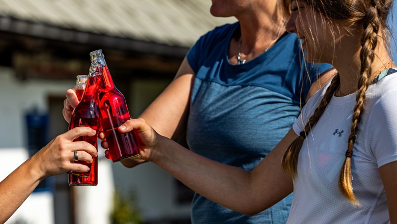 Refreshment and rest, © Wiener Alpen, Christian Kremsl Three people clink glasses with red drinks bottles.