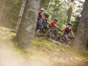 Biken auf den Wexl Trails, &copy; Wexl Trails St. Corona am Wechsel