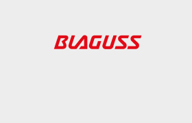 Logo Blaguss