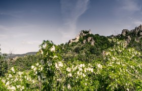 D&uuml;rnstein im Fr&uuml;hling, &copy; Robert Herbst