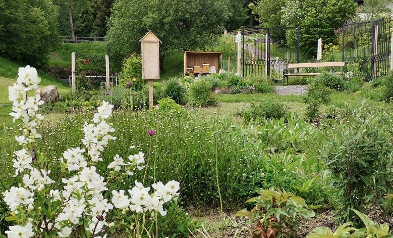 Lebensraum für Bienen und Insekten
