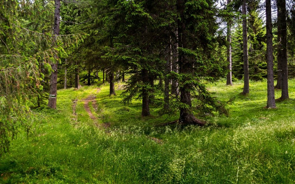 Weitwanderweg
