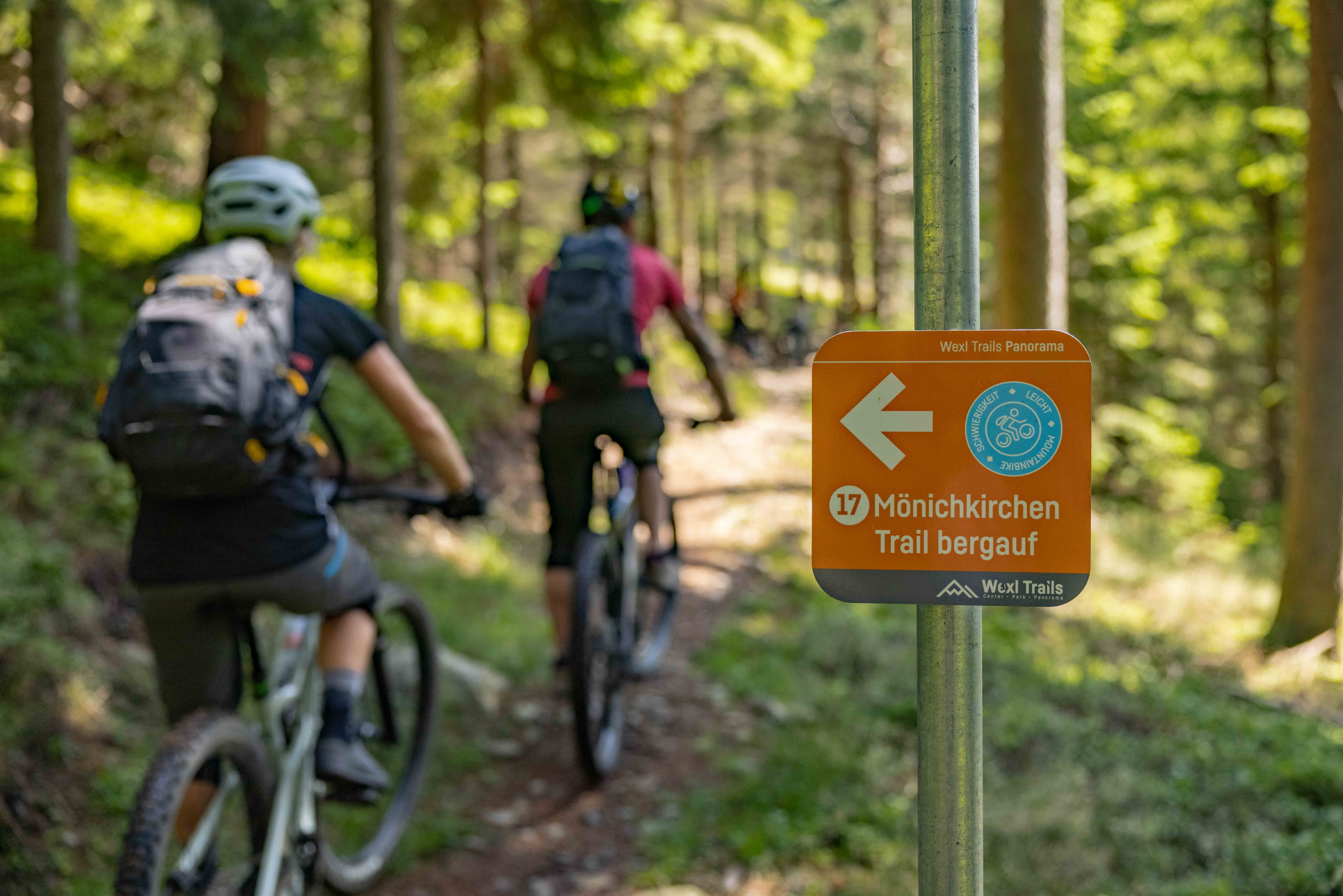 Zwei Mountainbiker fahren auf dem Trail „Mönichkirchen Bergauf“ durch die Natur. Die beiden sind gemeinsam auf der Strecke unterwegs und bewältigen den Anstieg mit ihren Mountainbikes.