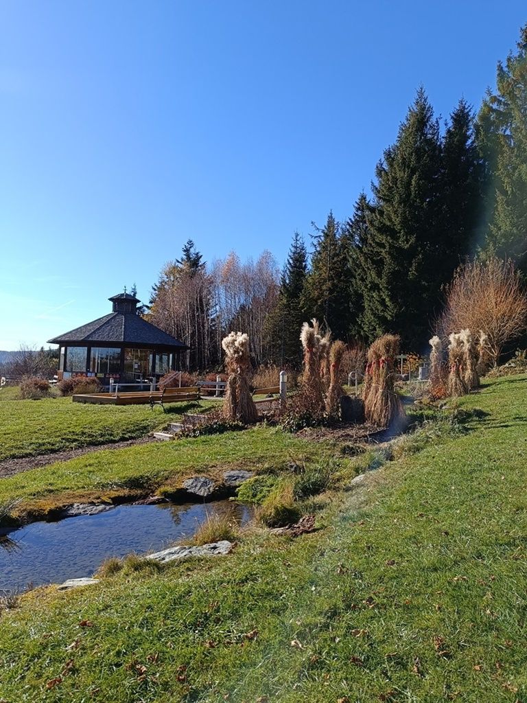Ein Pavillon in einer herbstlichen Landschaft mit Bäumen und einem kleinen Teich unter klarem Himmel.
