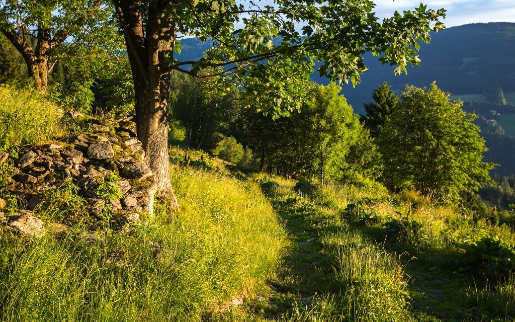 Weitwanderweg