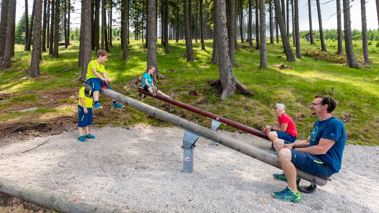 Familie spielt auf Wippen im Wald.