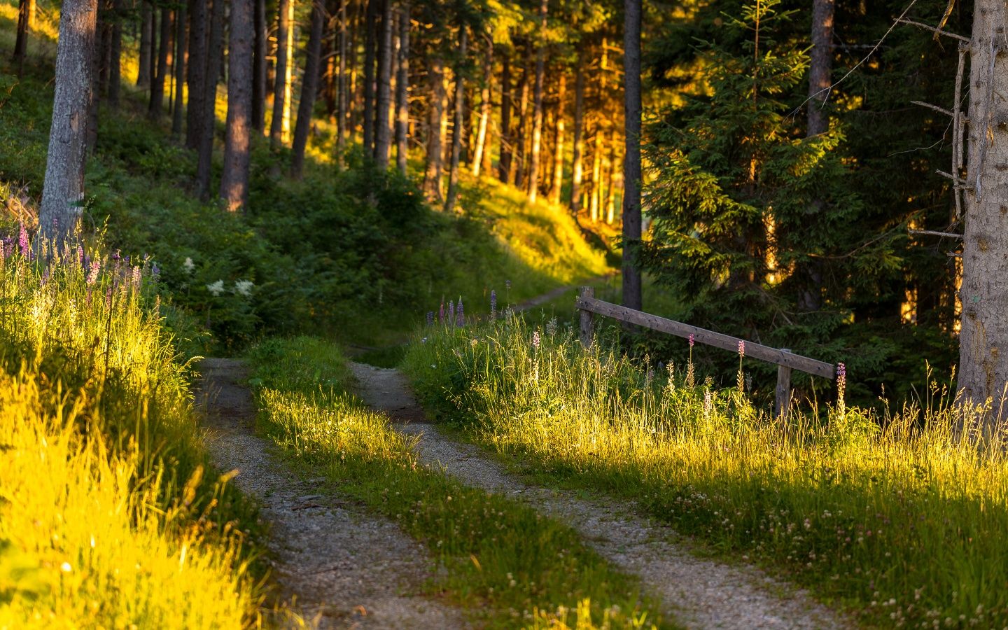 Wandern am Alpannonia Weitwanderweg