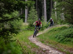 Almrauschtrail by Wexl Trails #8a, &copy; Wexl Trails