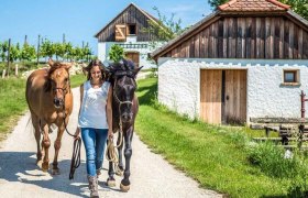 Pferdemomente, &copy; Cornelia Ulrich