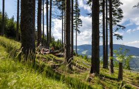Relaxliegen am Schaukelweg