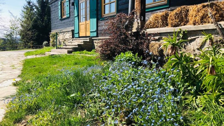 Ein Haus mit gr&uuml;nen Fensterl&auml;den und einer Holzveranda, umgeben von bl&uuml;henden Vergissmeinnicht und gr&uuml;ner Vegetation.