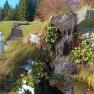 Small waterfall in an autumnal landscape with trees and blue sky.