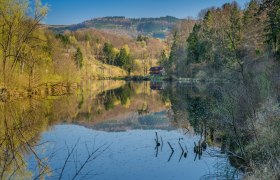 Ein ruhiger See mit Wald und H&uuml;geln im Hintergrund, reflektiert im Wasser.