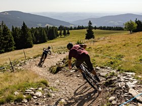 Biken mit Aussicht auf den Wexl Trails, &copy; Wexl Trails St. Corona am Wechsel