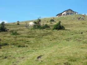 Hochwechsel, &copy; Erlebnisregion Wechselland