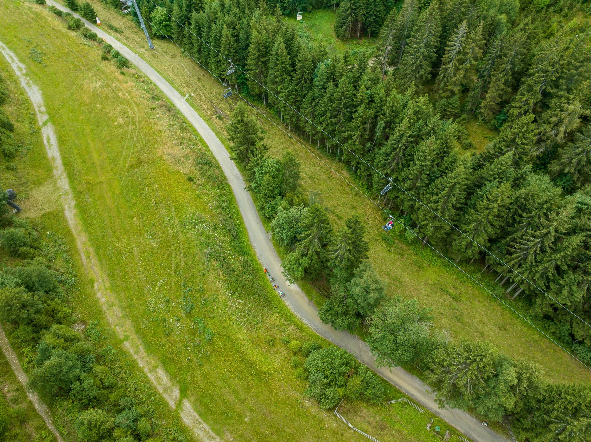 Das Bild zeigt aus der Vogelperspektive eine Mountaincartstrecke, die neben einem dichten Wald verläuft.