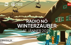 Radio N&Ouml; Winterzauber