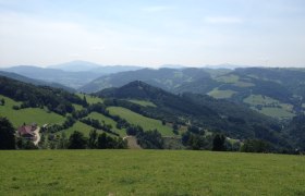 Panorama einer h&uuml;geligen Landschaft mit Wiesen und W&auml;ldern unter blauem Himmel.
