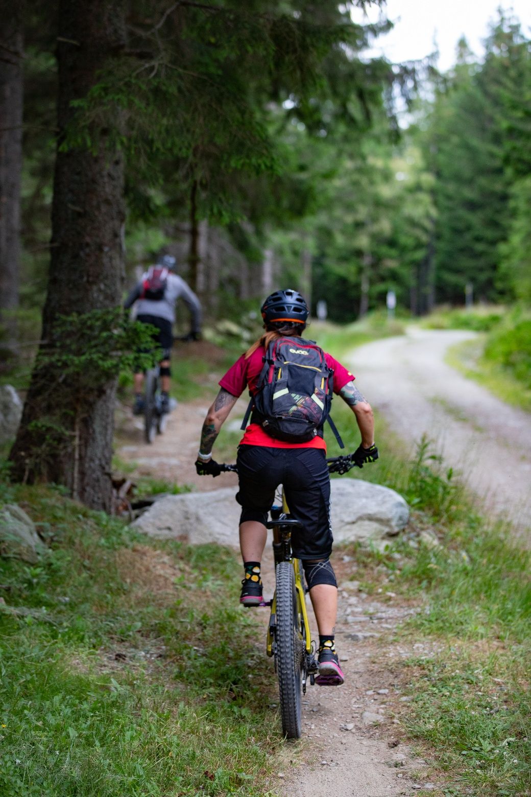 Almrauschtrail by Wexl Trails #8a