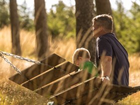 Schaukelweg, &copy; Erlebnisalm M&ouml;nichkirchen