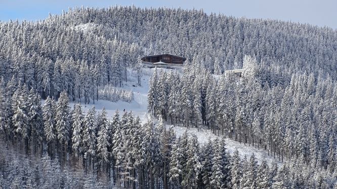 Verschneite Berghütte in einem dichten Wald auf einem Hügel.