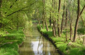 Stockerauer Au, &copy; Stadtgemeinde Stockerau