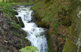 Ein kleiner Wasserfall im Wald, umgeben von B&auml;umen und Moos.