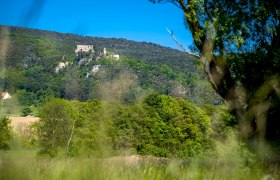 Burgruine Emmerberg auf einem bewaldeten H&uuml;gel, umgeben von gr&uuml;nen B&auml;umen und blauem Himmel.