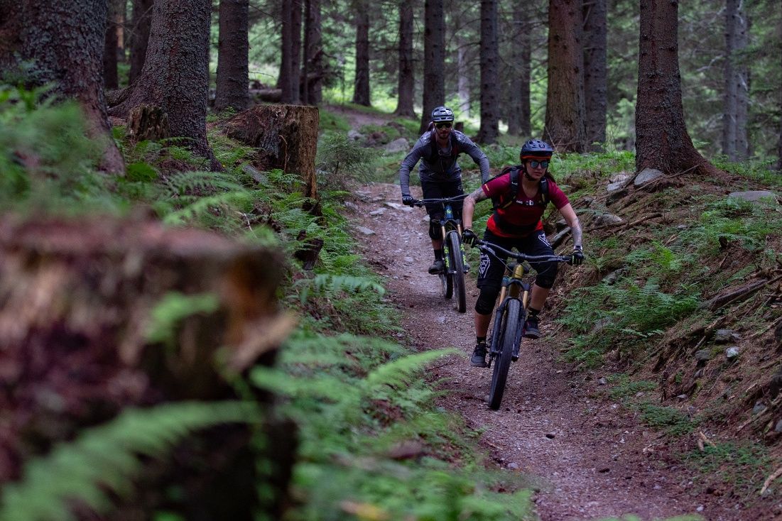 Almrauschtrail by Wexl Trails #8a