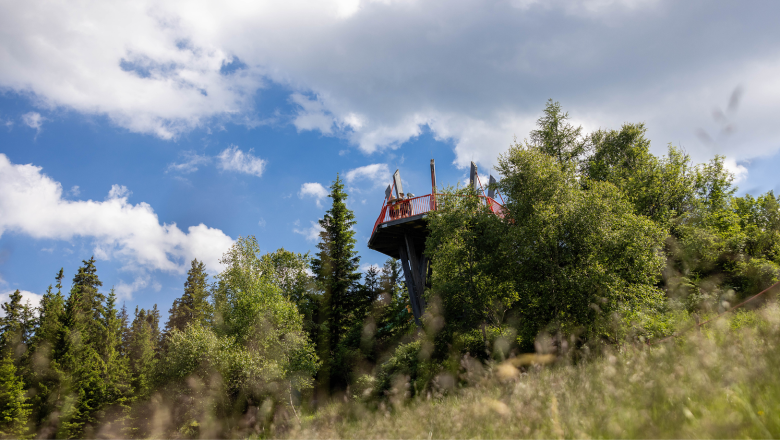 Schöne Aussichten beim Ausflug