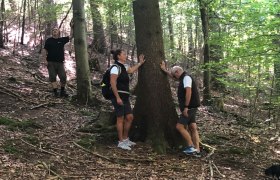 Waldbaden, &copy; Walter Hasslinger