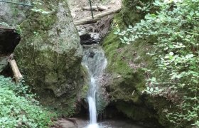 Ein kleiner Wasserfall flie&szlig;t zwischen moosbewachsenen Felsen in einem Waldgebiet.