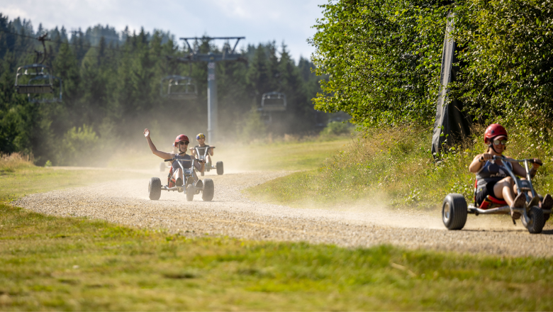 Mountaincartfahren mit Kollegen 