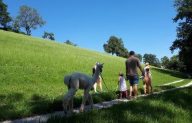 Spazieren entlang von Obstb&auml;umen, &copy; Stefanie Ecker