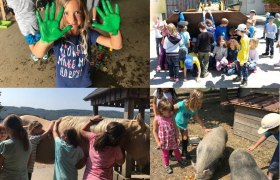 Tiererlebnis, &copy; Verein Naturhelden