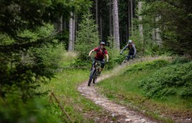 Almrauschtrail by Wexl Trails #8a, &copy; Wexl Trails