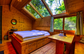 Innenansicht eines gem&uuml;tlichen Holzhauses mit Bett und Tisch, umgeben von B&auml;umen.