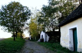 Ein l&auml;ndlicher Weg mit B&auml;umen und einem alten Geb&auml;ude mit gr&uuml;nem Tor.