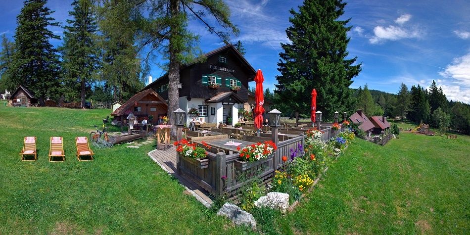 Berggasthof Mönichkirchner Schwaig