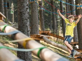 Schaukelweg, &copy; Erlebnisalm M&ouml;nichkirchen