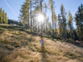 &Uacute;tk&ouml;zben St. Corona am Wechselben, &copy; Martin Weiner