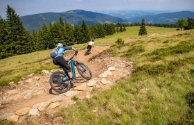 A Wexl-&ouml;sv&eacute;nyeken St. Corona am Wechselben, &copy; Wexl Trails St. Corona am Wechsel