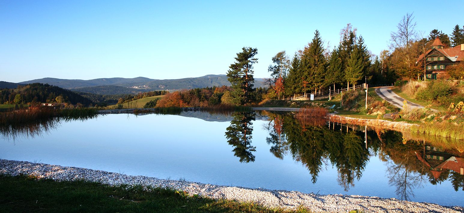 Ein ruhiger Teich spiegelt Bäume und Himmel, umgeben von Wiesen und einem Haus am Waldrand.