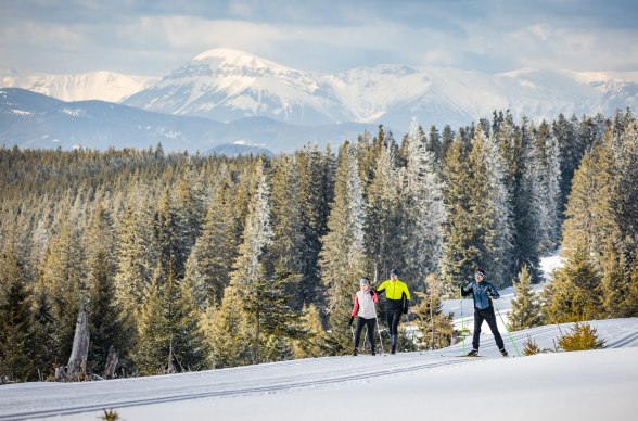 Langlaufen in Nieder&ouml;sterreich, &copy; Martin F&uuml;l&ouml;p