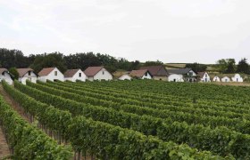 Kellergasse Prellenkirchen, VIA.CARNUNTUM., &copy; Donau Nieder&ouml;sterreich, Steve Haider