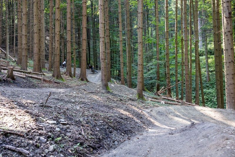Bergkäs Trail